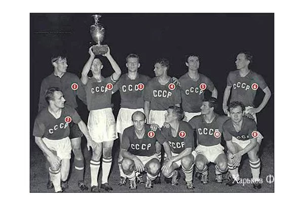 c48eecab5693b849.webp