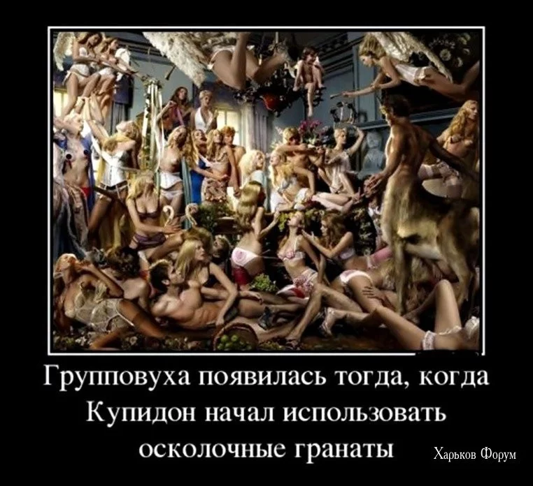 c49175dbd686834a2.webp