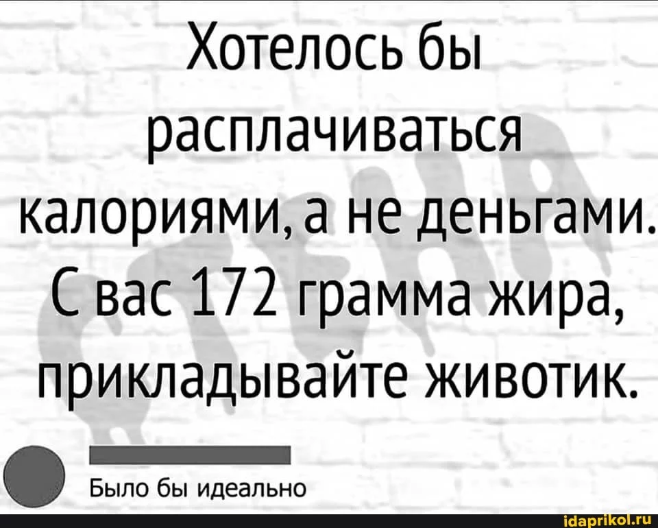 c49b3186c514396a118.webp
