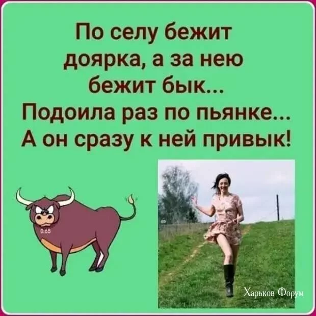 c4a19747a8caa1dc6.webp