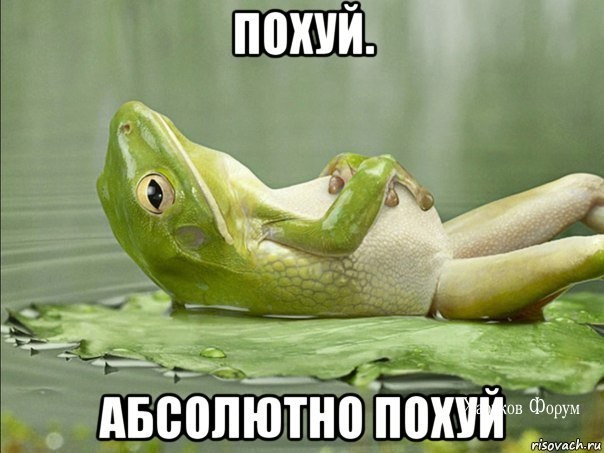c4a451b4f5d3de0c46.jpg