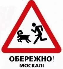 c4bghf.webp