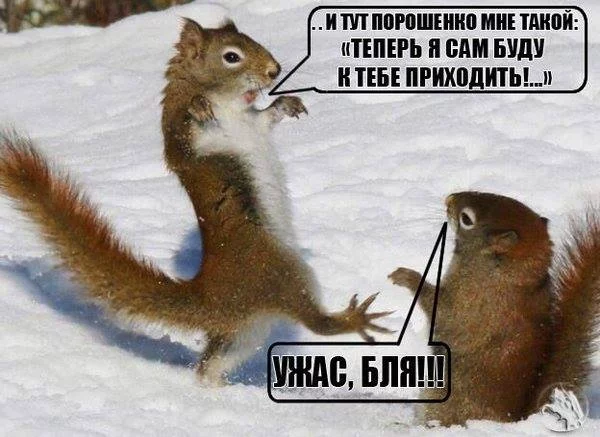 c4cagd.webp