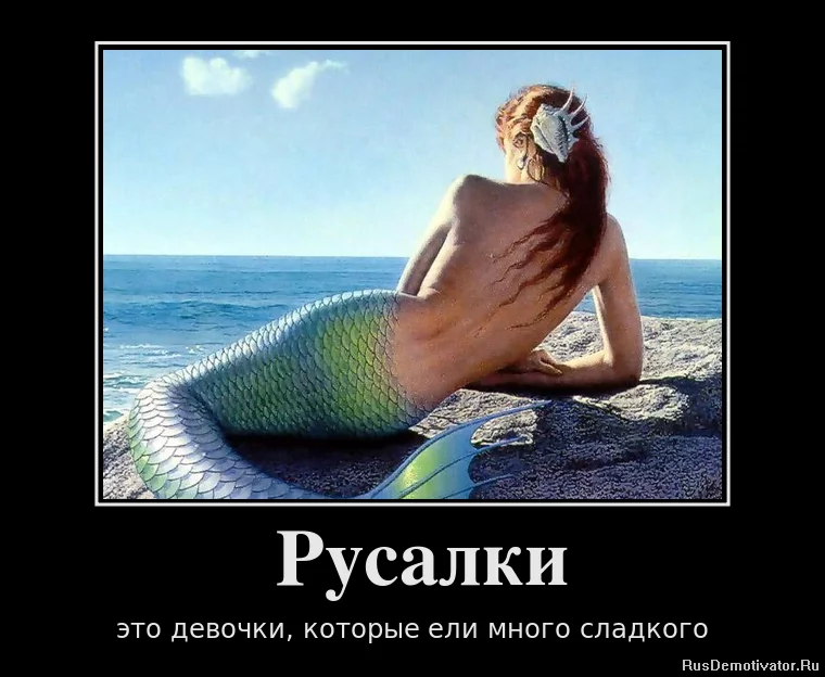 c4dccf.webp