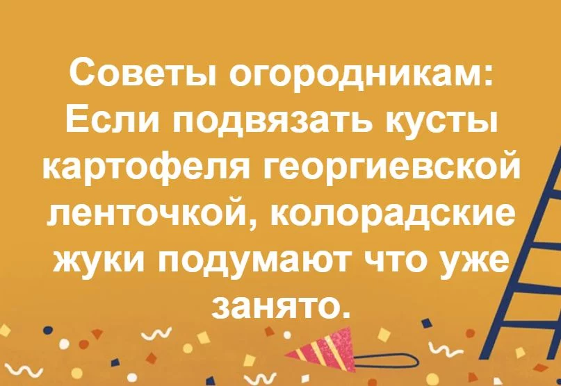 c4egja.webp
