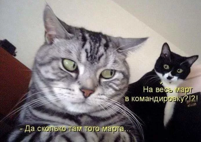 c4ejdf.webp