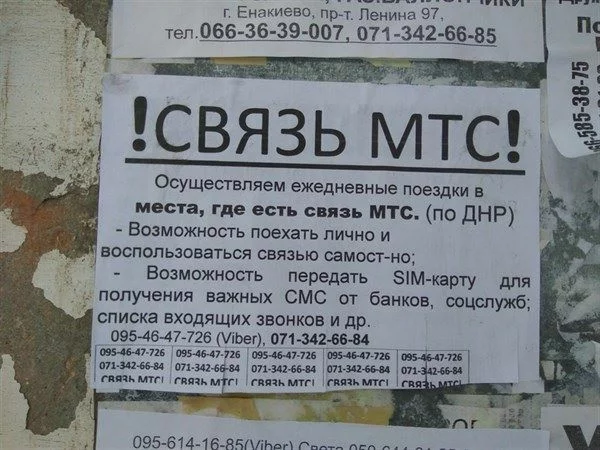 c4gffe.webp