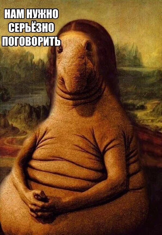 c4gjea.webp