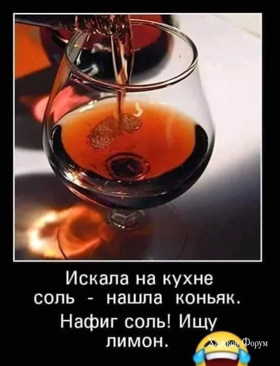 c50861b9e26b2c7911f2fa.webp