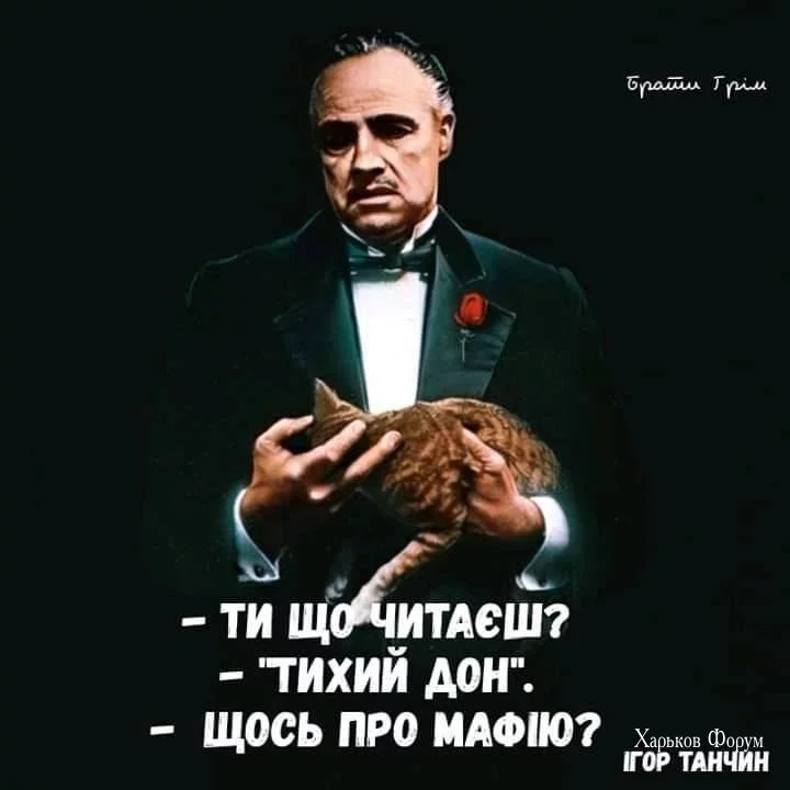 c50ec29b58c1f3eb.webp