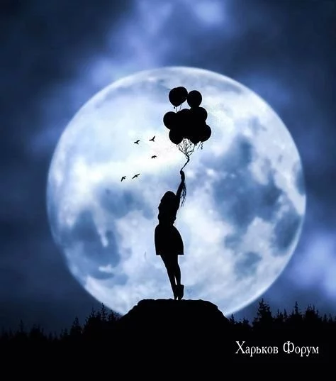 c53279c2ebd407f2af2a4cb9.webp