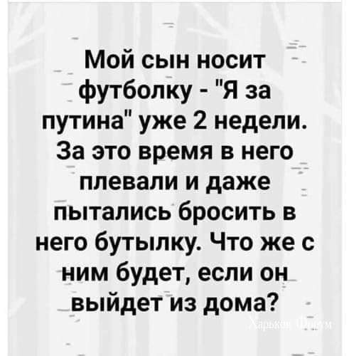 c556d84b98aa32cfa8cf5.jpg