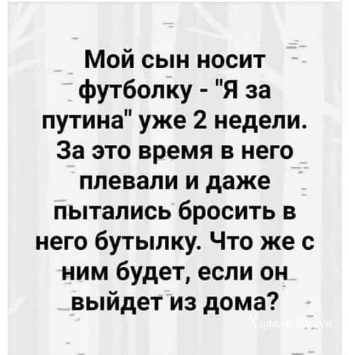 c556d84b98aa32cfa8cf5.webp