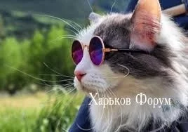 c55f93e23e799ccc290ccc58.webp