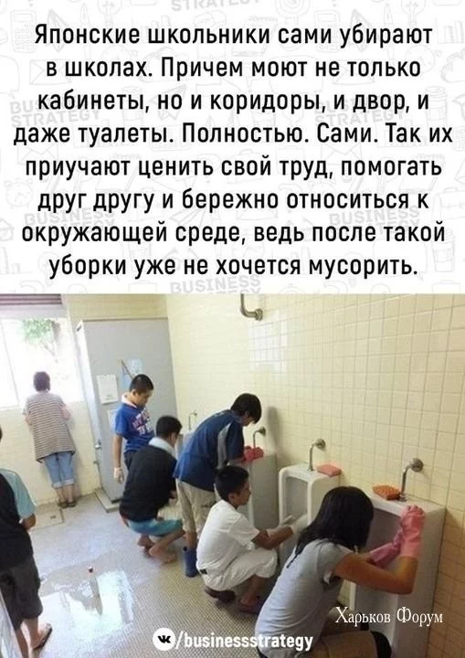 c56d333e7e3e074a11729.webp