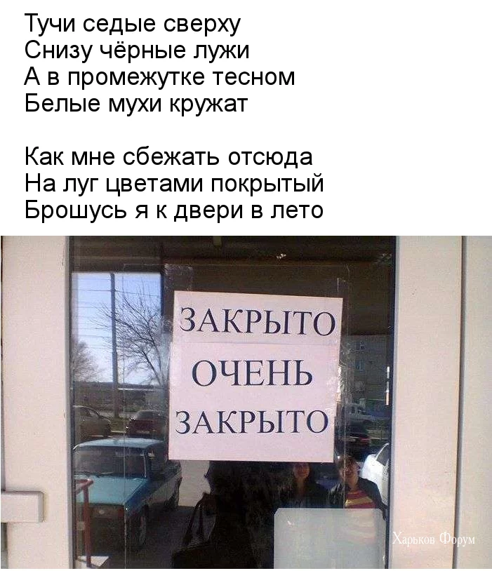 c5758390ccba223ed0e.webp