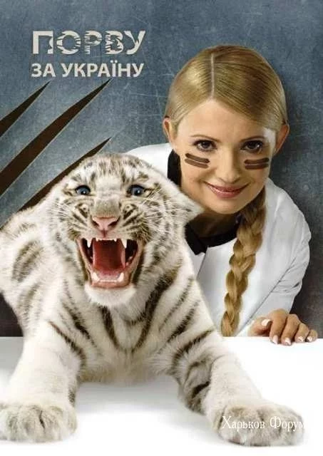 c5797d319e32cd928e5.webp