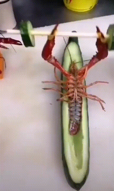 c587a13485c1b883d7ff.gif