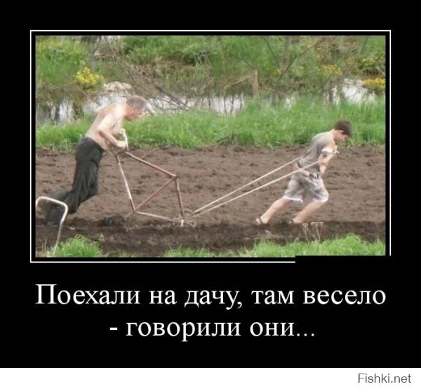 c5a1c85fb7b010480b17c3912713b99c.webp