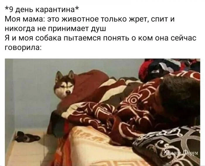 c5b77d41fb459e5d75f9e948.webp