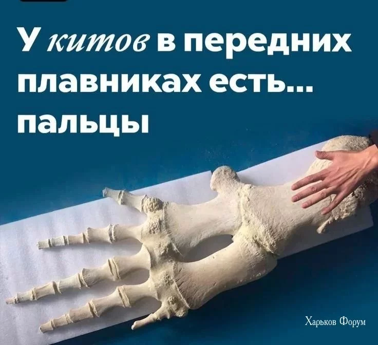 c5c3fe4782d354a6036d1f0.webp