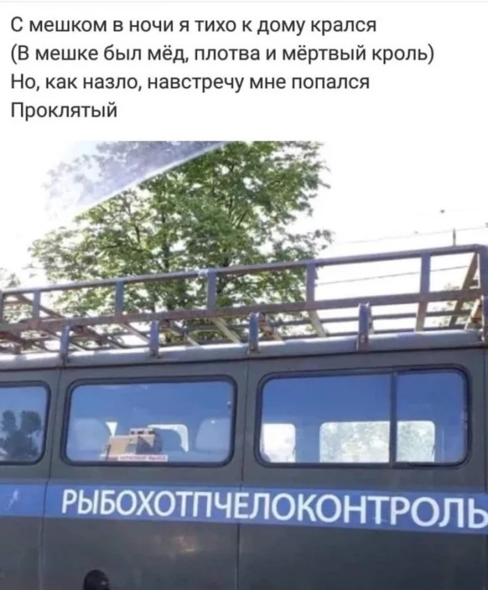 c5c752.webp