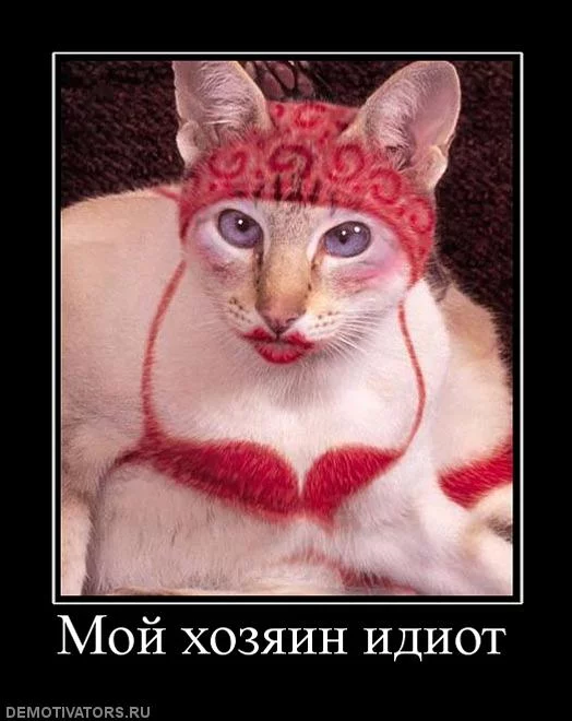 c5d5f7f528762c68e3573c75937c0fc1.webp