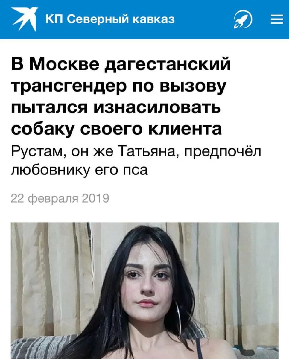 c5dbad.webp