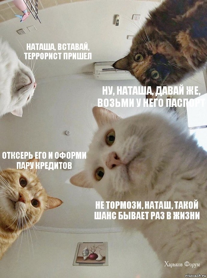 c5ea3da2affaf955c3.jpg