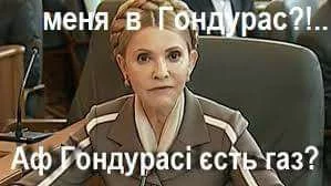 c5egae.webp