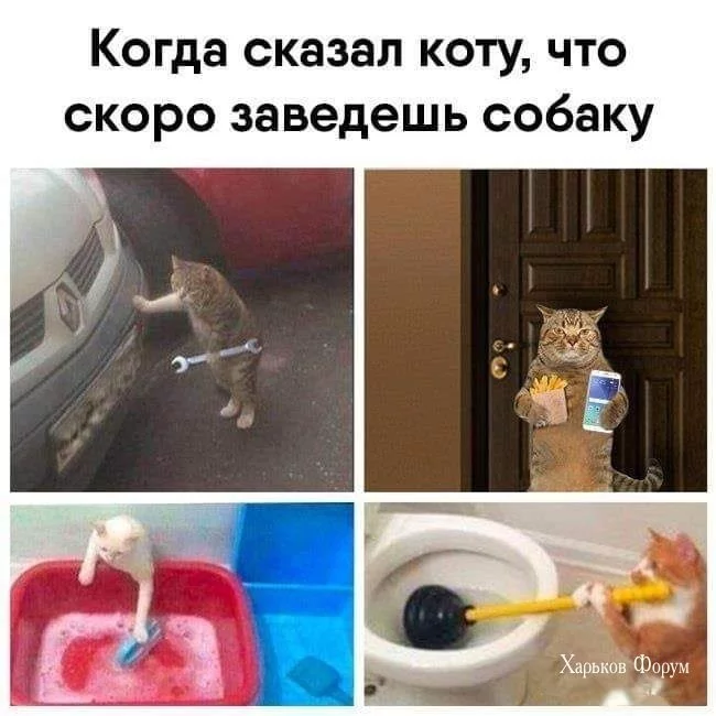 c629276f399823d81ac09915.webp