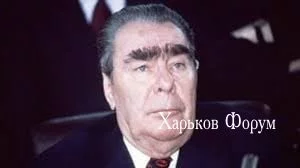 c62b2f9ead6928f6470101a.webp