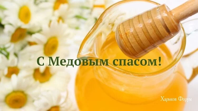 c63c4675294785f74d.webp