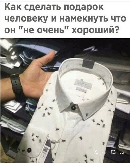 c646c766964013efb54273f.jpg