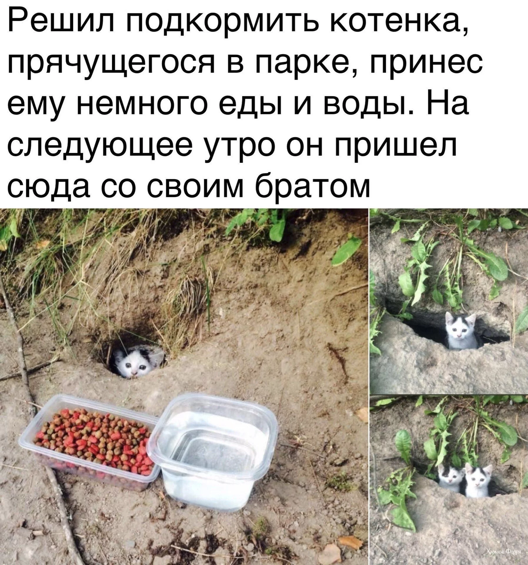 c64d913b307d32bd21ad.webp