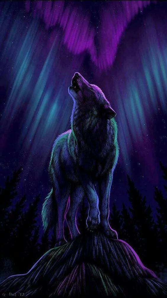 c65322fca0f7364ee62f5b619f0e052f.webp