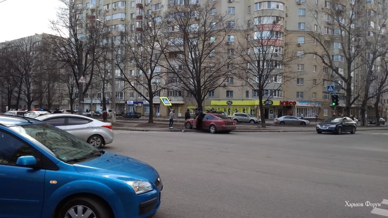 c65ad57997c860fe4a.webp