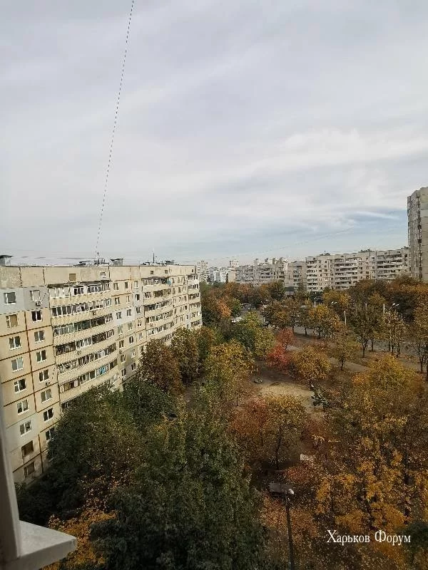 c66e68d73930a0dc6adcff6c.webp