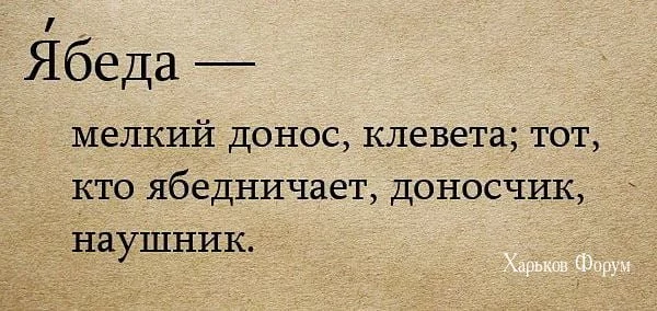 c6745ddecbdb3753f978.webp