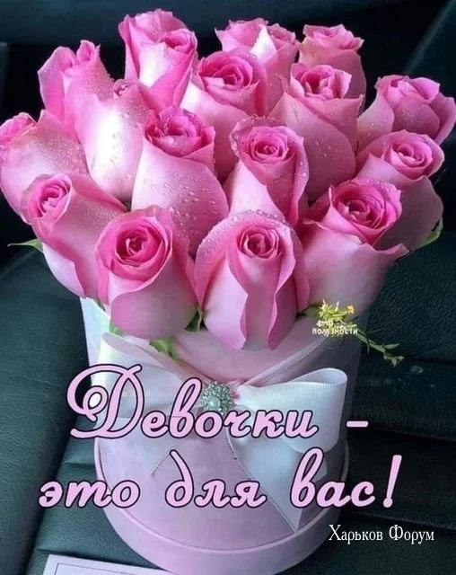 c676de64102802062.webp