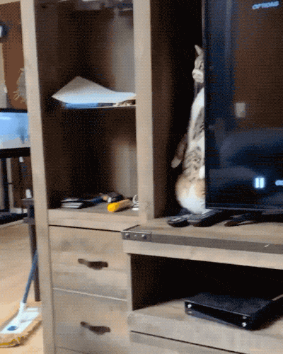 c6883d441d78a06befdb1b2.gif