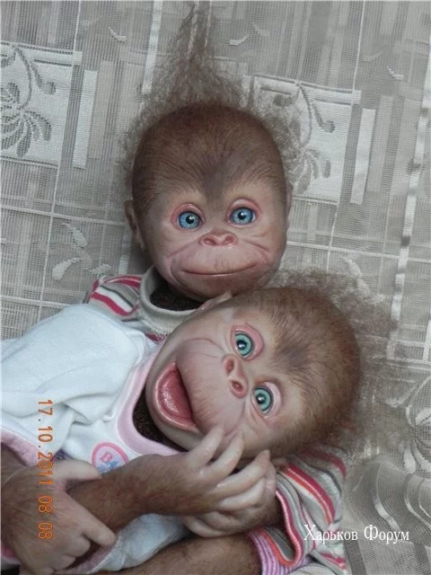 c68f731ca0b43db8a26115d.webp