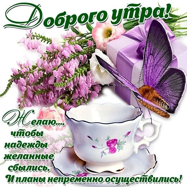 c691db8de3994dbf4e.webp
