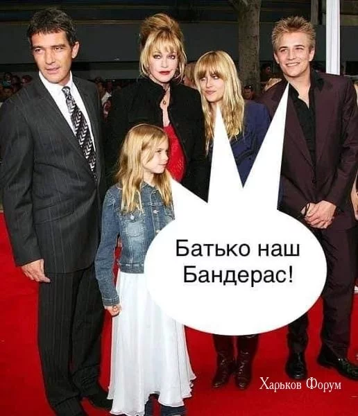 c6a82a946f32d3c94b453f.webp
