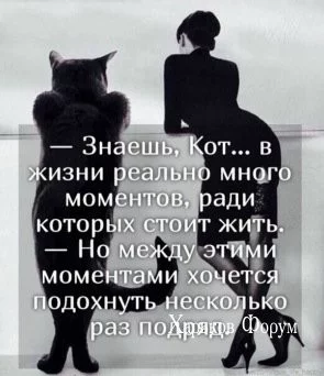 c6b3f3ac1674e68bc28.webp