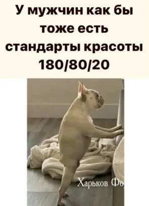 c6bad0f645a6451aae.webp