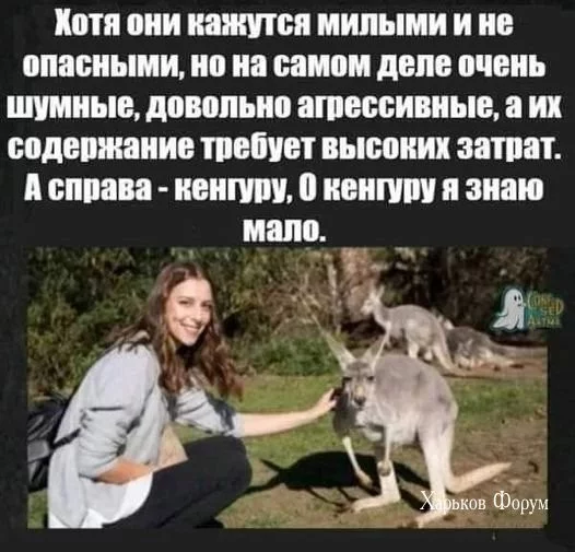 c6bc20f823fbd8374d0278.webp