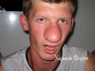 c6bc930444289c37244114d5.webp