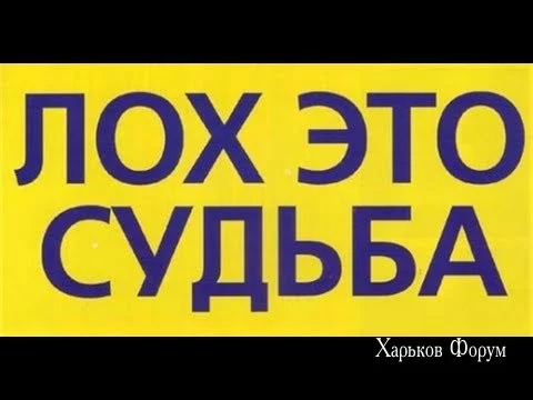 c6c96a80640ef7a7a9f.webp