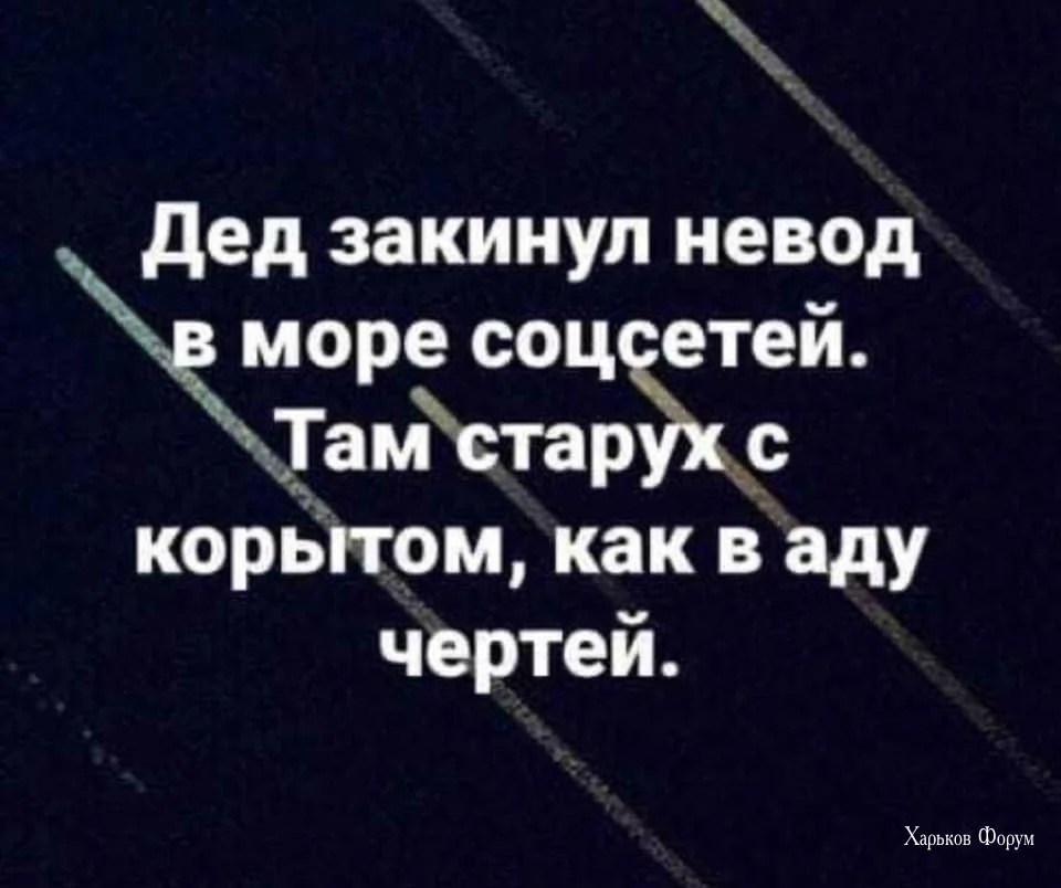 c6d041fa226700b572.webp
